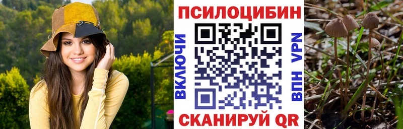 купить закладку  Билибино  Галлюциногенные грибы мицелий 